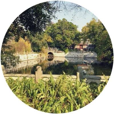 山海异闻录盖娅官方下载